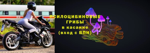 сатива Заволжск