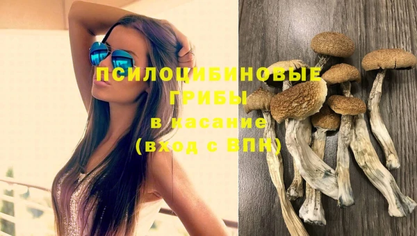 соль курить ск Заволжье
