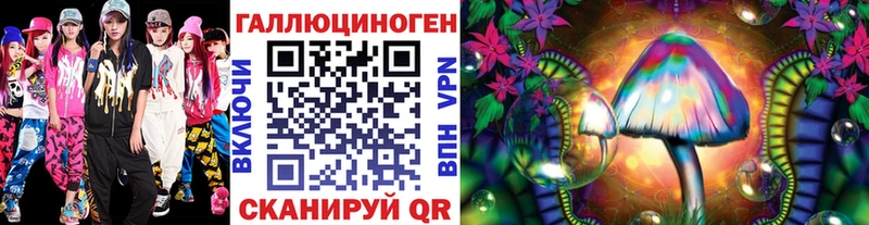 Псилоцибиновые грибы Psilocybine cubensis  Керчь 